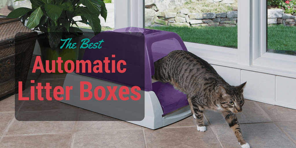 best automatic litter boxes 2016