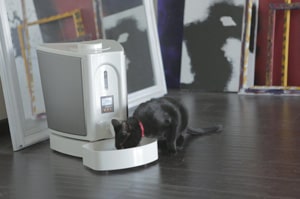 pet feedster review