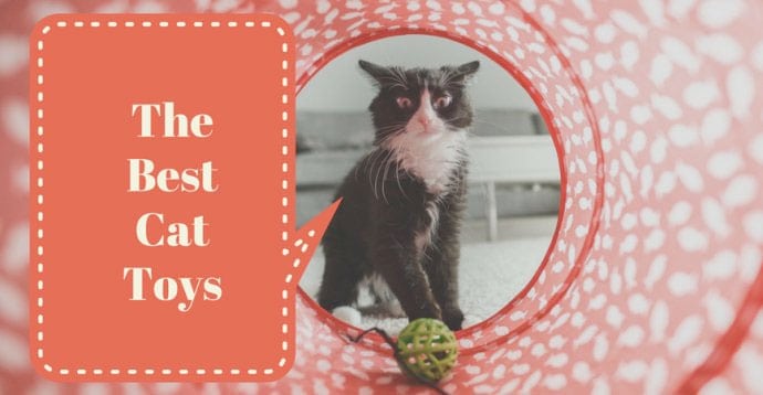best interactive cat toys 2017 comparison