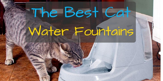 the best cat water fountain reviews 2019 comparison