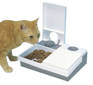 Best Automatic Cat Feeder 2020 Buyer S Guide And Reviews