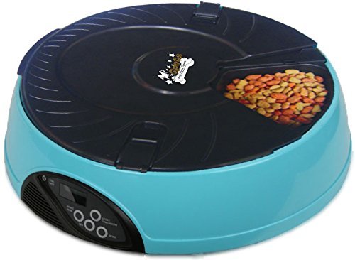 qpets 6 meal feeder review