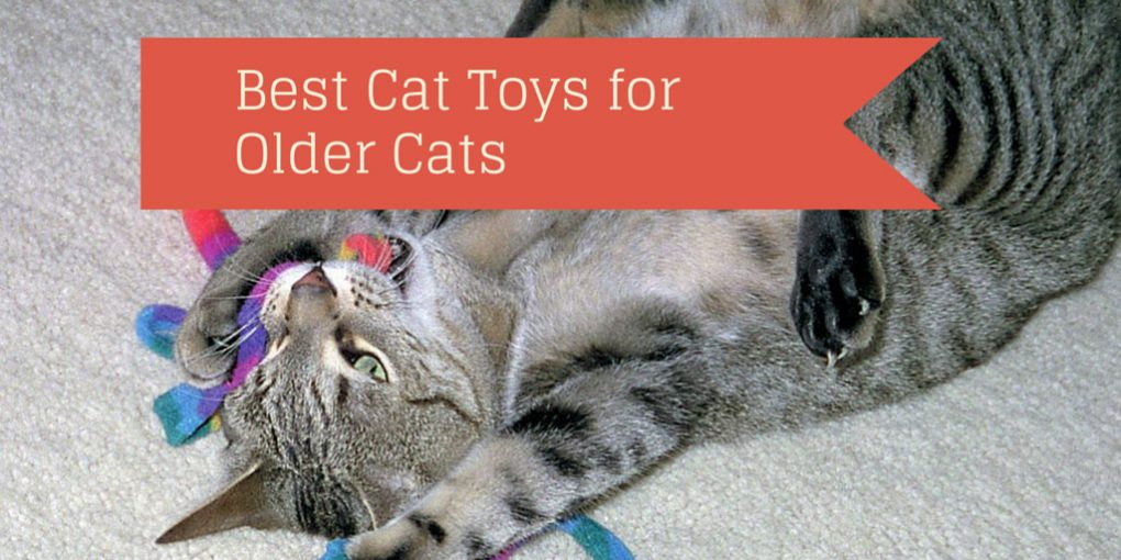 best cat toys for older cats