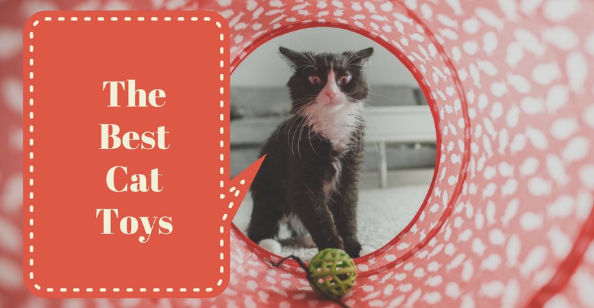 best cat toys 2018