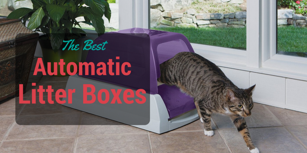 the best automatic litter boxes: 2017 Reviews