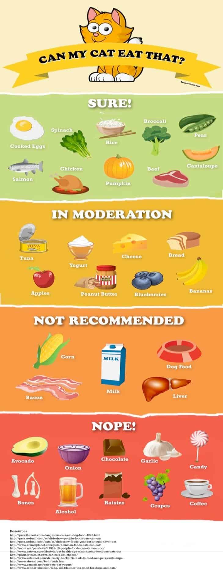 Is It Ok For Cats To Eat Bread Bread Poster