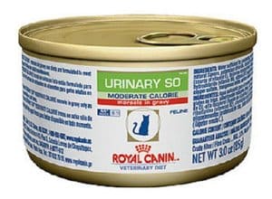 royal canin urinary morsels in gravy