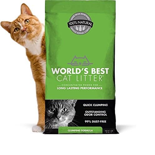 Best Clumping Cat Litter For Multiple Cats 2017 Cats Are On Top   Worlds Best Cat Litter 