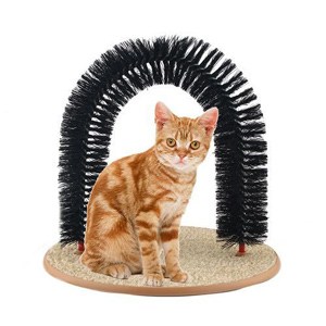 best toys for older cats