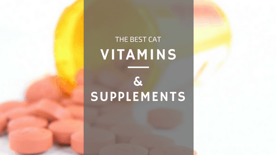 Cat taking a vitamin