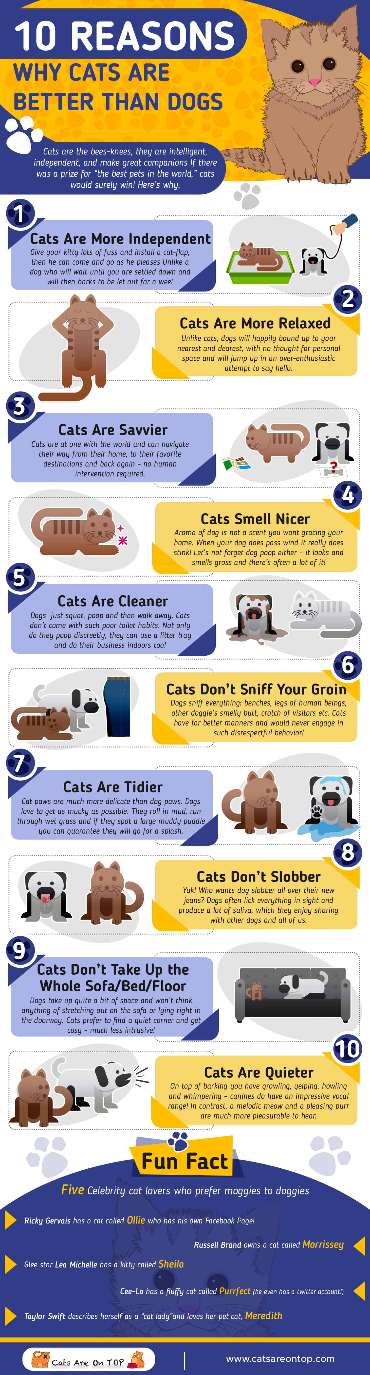 10 Reasons Why Cats Are Better Than Dogs | Cats Are On Top